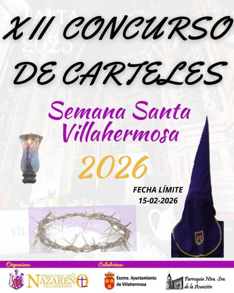 Solrock 2025 La Solana vibra con el concierto rockero - Campo de Montiel  Info