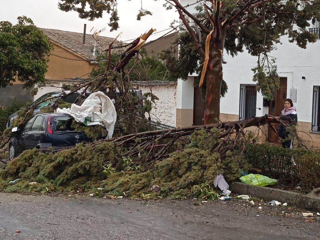 Torre de Juan Abad solicitará ser declarada zona catastrófica tras los graves daños de la borrasca Herminia